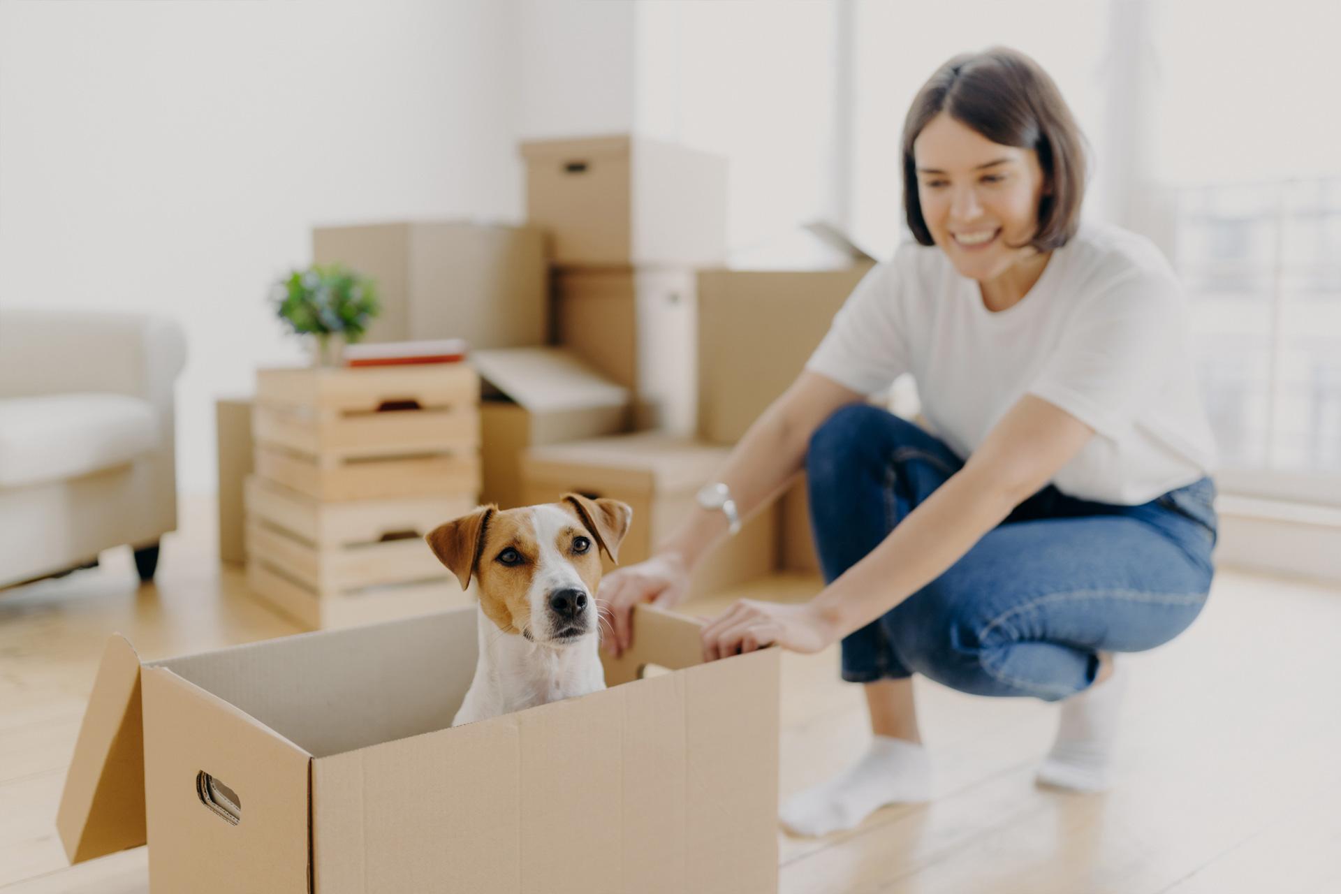 Eine lachende, junge Frau in ihrer neuen Wohnung, umgeben von Umzugskarton. In einem Umzugskarton sitzt ein Hund.